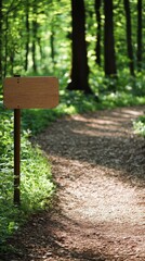 Wooden signpost on a dirt path in a forest.