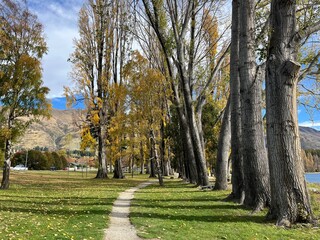 Wanaka, South Island of New Zealand