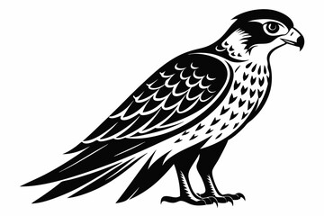 Falcon Bird silhouette vector illustration, Falcon attack design on white background