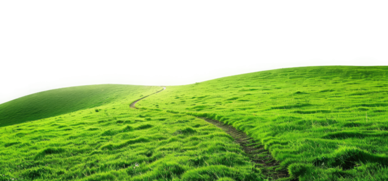 fresh grass meadow outdoor landscape on transparent background