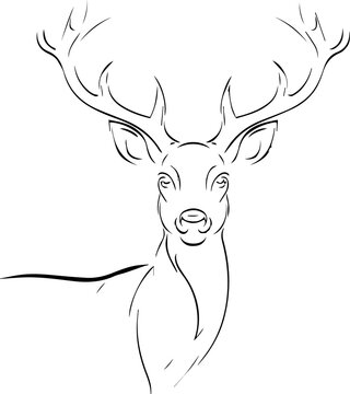 recommend clip art: 사슴
                    