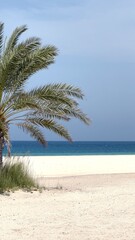 Obraz premium Beautiful eco beach view framed by lush palm leaves, golden sand, and turquoise sea. Perfect for tropical escape and scenic relaxation, this stunning beach scene invites tranquility and rejuvenation.