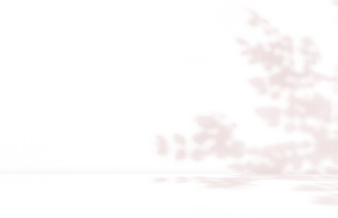 Empty cream brown pink beige room studio with shadow of leaves tree plant for product presentation. Autumn background. Summer tropical backdrop. Cosmetic showroom.