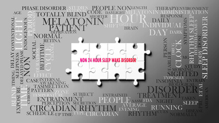 Non 24 Hour Sleep Wake Disorder - a complex subject, related to many concepts. Pictured as a puzzle and a word cloud. ,3d illustration