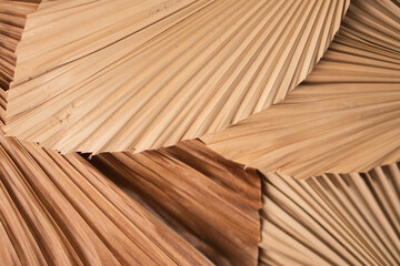 Close-Up of Dried Palm Leaves Textures