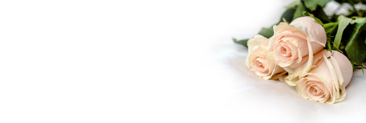 The branch of pink roses on white fabric background
