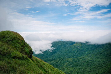 Naklejka premium Landscape, fog on the mountain, relaxation and travel