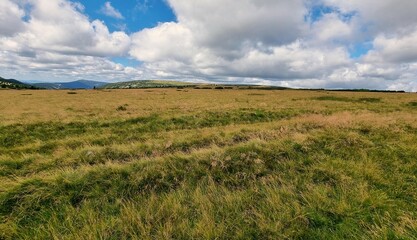Obraz premium Amazing Meadows on the Karkonosze Plateau
