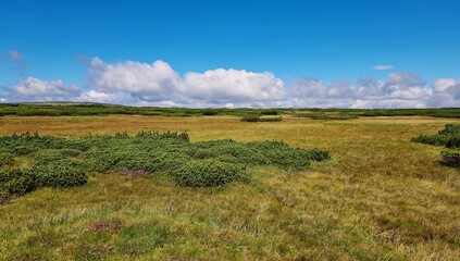Obraz premium Plateau in the Karkonosze Mountains