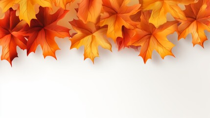 Vibrant autumn background showcasing colorful maple leaves framed against a white backdrop