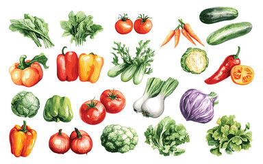 Vegetable Vector Elements, Vegetable Watercolor Illustration isolated on white background