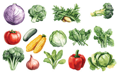 Vegetable Vector Elements, Vegetable Watercolor Illustration isolated on white background
