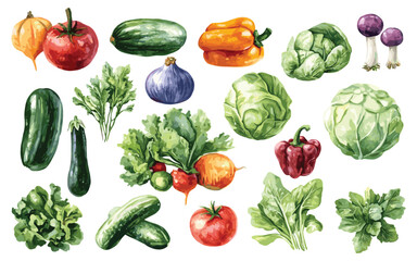 Vegetable Vector Elements, Vegetable Watercolor Illustration isolated on white background