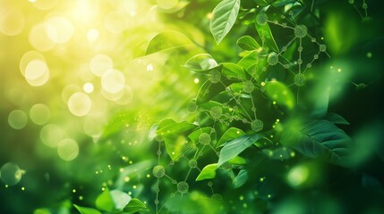 Obraz premium Abstract green leaf background with digital connections and sunlight bokeh.