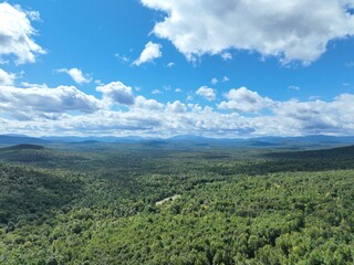 This image captures the breathtaking expanse of the White Mountains, where endless waves of green trees blanket the landscape, stretching out for miles. The mountains rise majestically in the backgrou
