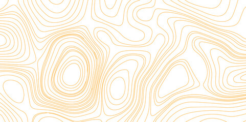 Abstract wave paper curved reliefs background .gradient multicolor wave curve lines banner background design .topographic contours map background .Vector geographic contour map.	