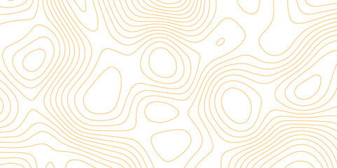 Abstract wave paper curved reliefs background .gradient multicolor wave curve lines banner background design .topographic contours map background .Vector geographic contour map.  © Ageless Artistry