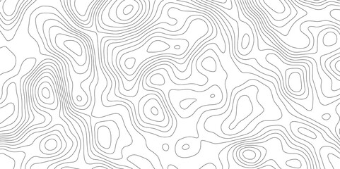 White topography topology vector white background fresh contour map texture backdrop digital print texture terrain lines and strokes on a fresh white 