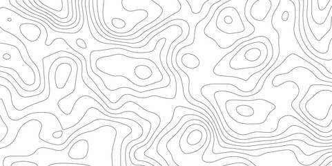 White topography topology vector white background fresh contour map texture backdrop digital print texture terrain lines and strokes on a fresh white 
