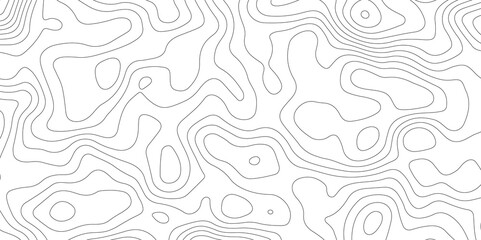 White topography topology vector white background fresh contour map texture backdrop digital print texture terrain lines and strokes on a fresh white 