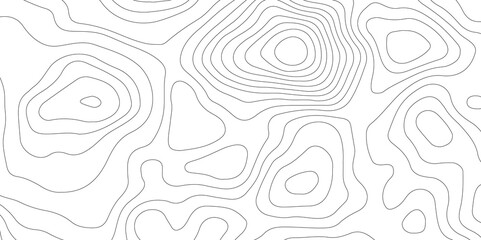 White topography topology vector white background fresh contour map texture backdrop digital print texture terrain lines and strokes on a fresh white 