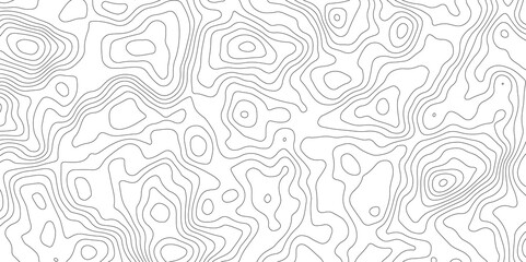 White topography topology vector white background fresh contour map texture backdrop digital print texture terrain lines and strokes on a fresh white 