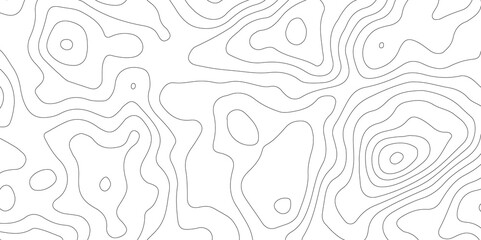 White topography topology vector white background fresh contour map texture backdrop digital print texture terrain lines and strokes on a fresh white 