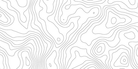 White topography topology vector white background fresh contour map texture backdrop digital print texture terrain lines and strokes on a fresh white 