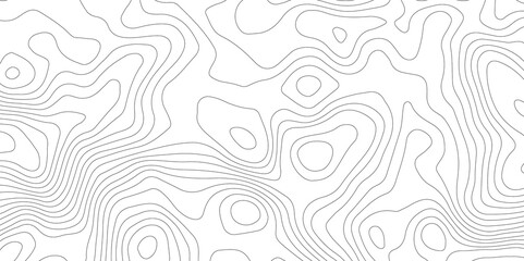 White topography topology vector white background fresh contour map texture backdrop digital print texture terrain lines and strokes on a fresh white 