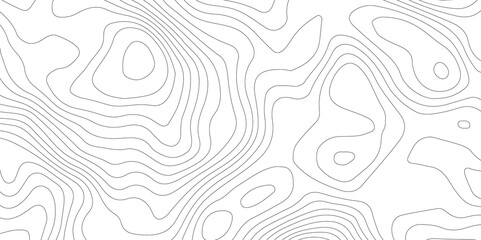 White topography topology vector white background fresh contour map texture backdrop digital print texture terrain lines and strokes on a fresh white 