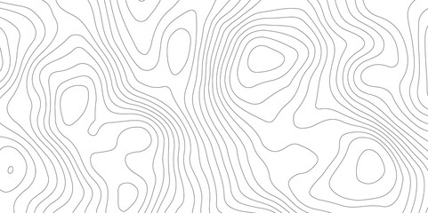 White topography topology vector white background fresh contour map texture backdrop digital print texture terrain lines and strokes on a fresh white 