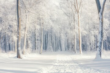 Fototapeta premium Winter background. Landscapes. Frozen winter forest with snow covered trees. outdoor with generative ai