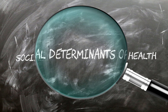 Social Determinants Of Health - learn, study and inspect it. Taking a closer look at social determinants of health.  ,3d illustration