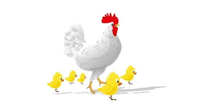 Hen walking with chicks animation video