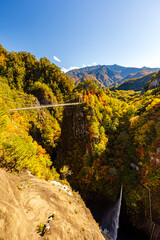 Fototapeta premium Autumn leaves at Setoai Valley in Nikko City