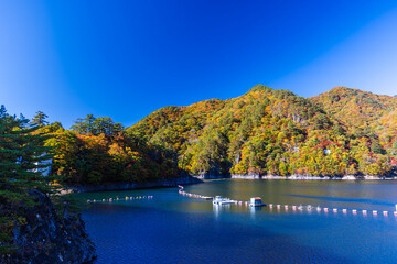 Autumn leaves at Setoai Gorge in Nikko City