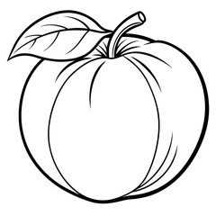 Peach line art vector 