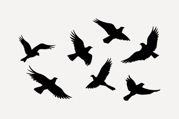 Naklejka premium Silhouetted birds in flight