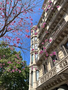 spring in the city