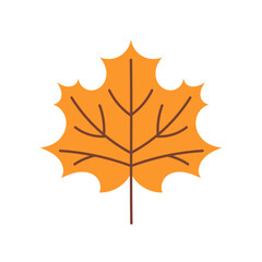 Illustration of an autumn leaf isolated on a white background