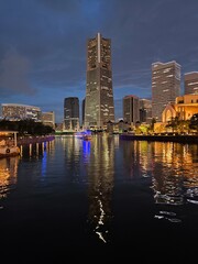 Obraz premium city skyline at night