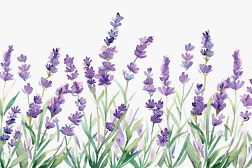 rawpixel_office_35_watercolor_illustration_of_lavender_flowers__93482dbb-5809-4c5a-be1f-4607371c567d-P