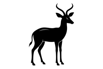 Fototapeta premium bushbuck of silhouette