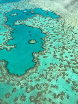 Heart of the reef