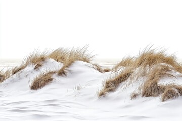 Chilly image of the baltic shore highlighting dune landscapes, beach grass, and rough waters set against a clean background, emphasizing a simple style