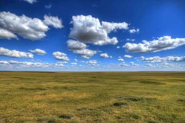Obraz premium Expansive prairie vibrant blue sky with fluffy clouds