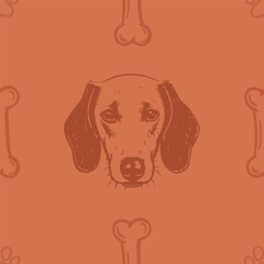 Seamless vector pattern with cute draw fluffy dogs. Simple doodle style. Grid