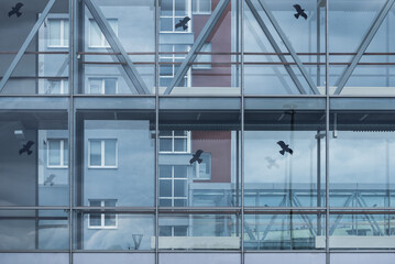 MODERN ARCHITECTURE OF PUBLIC BUILDINGS - Glass walls and attached bird graphics
