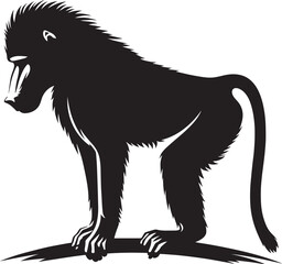Baboon Monkey animal Silhouette isolated on white background
