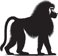 Baboon Monkey animal Silhouette isolated on white background